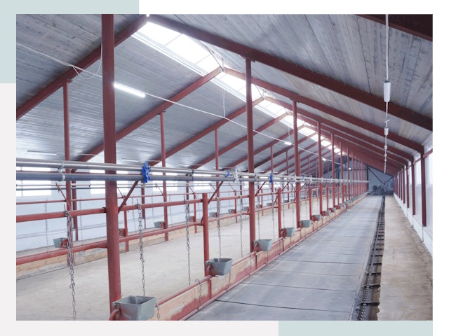 Строительство коровников в Каспийске от 611 руб.