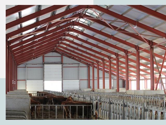 Строительство коровников в Каспийске