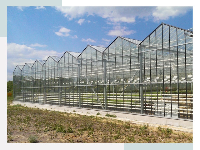 Строительство теплиц в Каспийск от 611 руб. за м²
