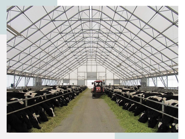 Тентовые коровники в Каспийске от 611 руб. - Надежно и доступно