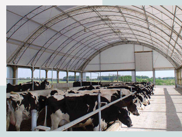 Тентовые коровники в Каспийске